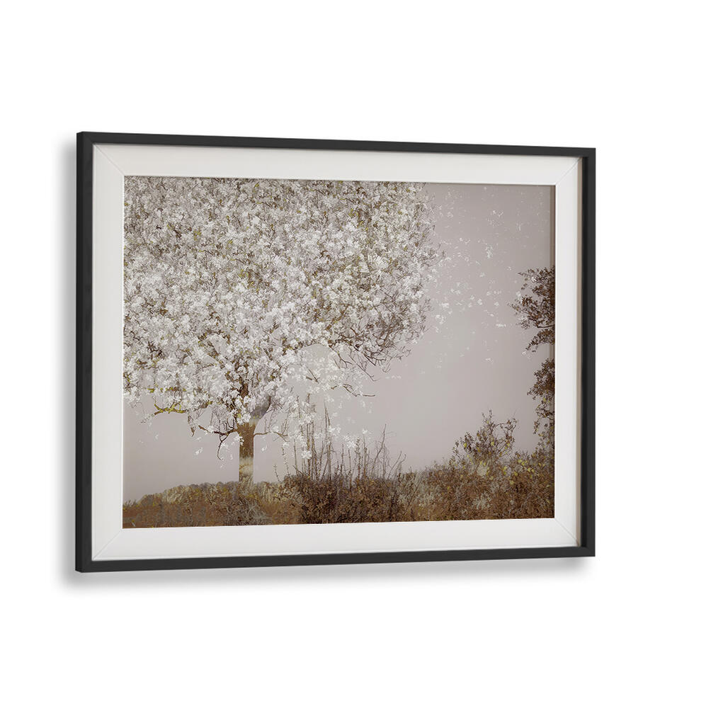 FRUIT TREE , FLORAL FLOWER PAINTINGS