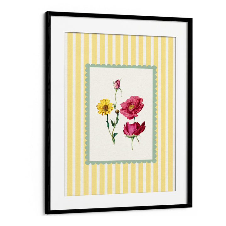 GARDEN ROSE & DAISY STUDY