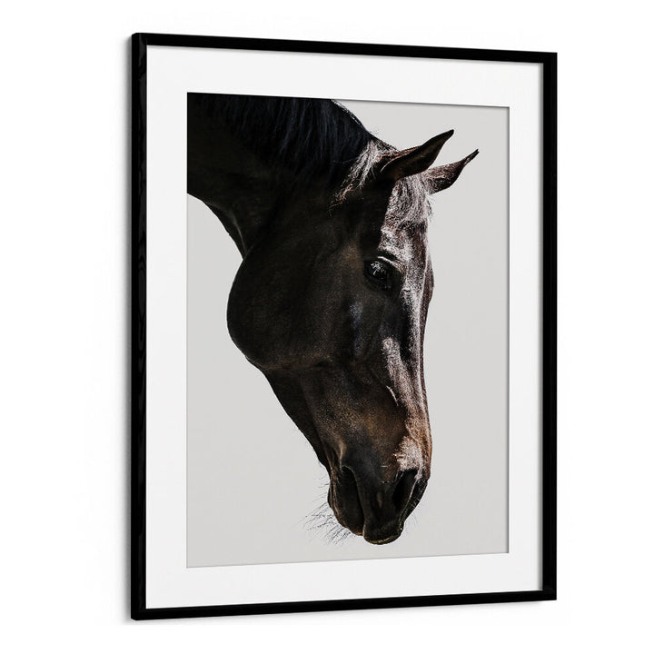 GENTLE EQUINE GAZE , ANIMAL PAINTINGS Blackmount framed dark horse portrait with a soft, contemplative gaze