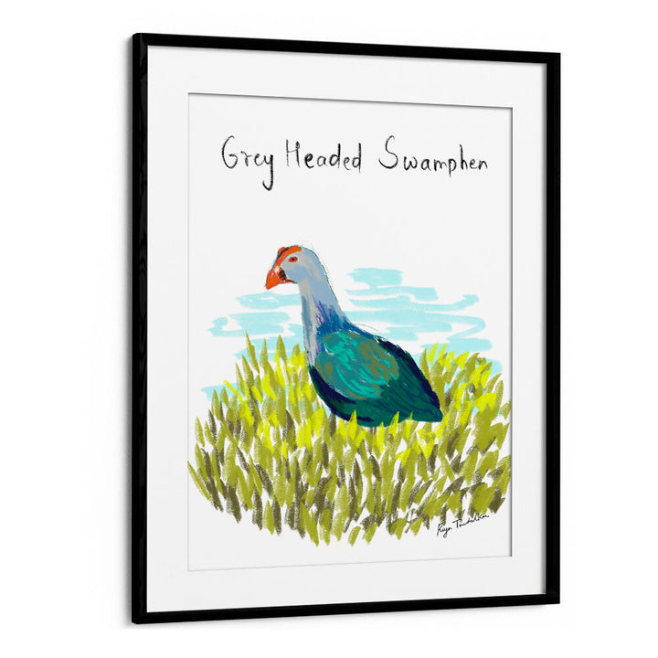 GREY HEADED SWAMPHEN