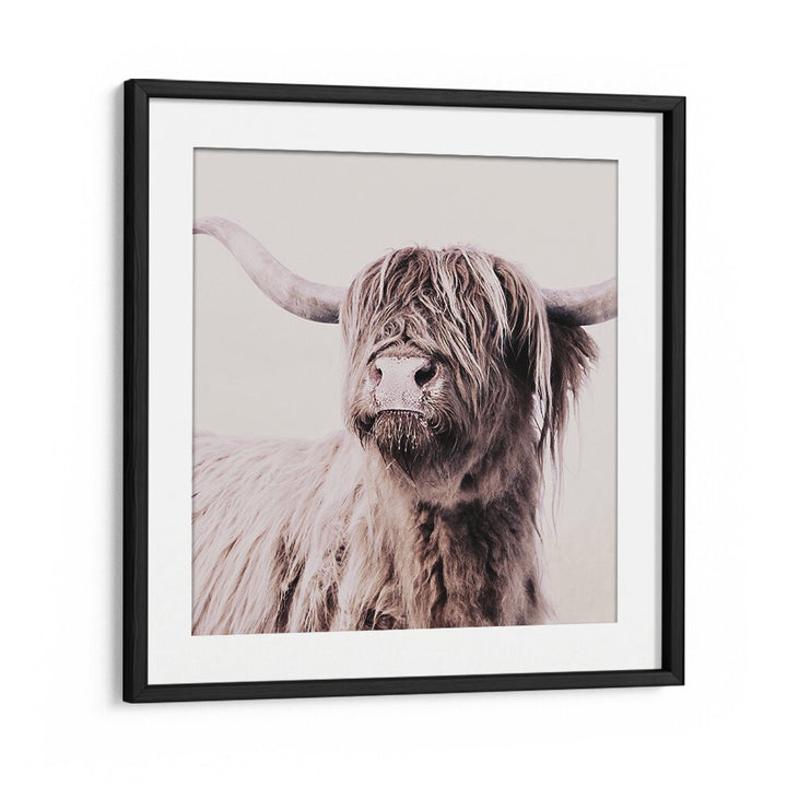 Stunning Highland Cattle Animal Paintings showcasing wildlife beauty, perfect for art lovers and home decor enthusiasts.