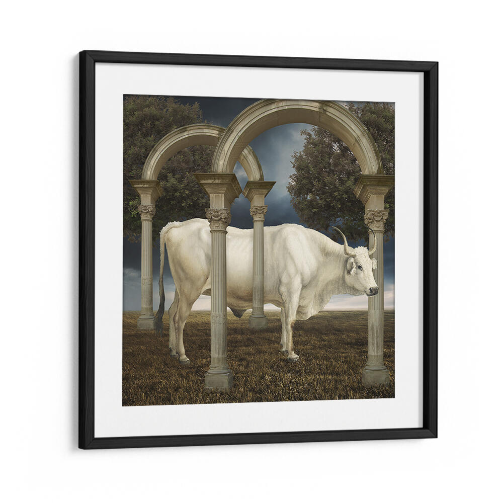 ILLUSIONNISME DE LA VACHE