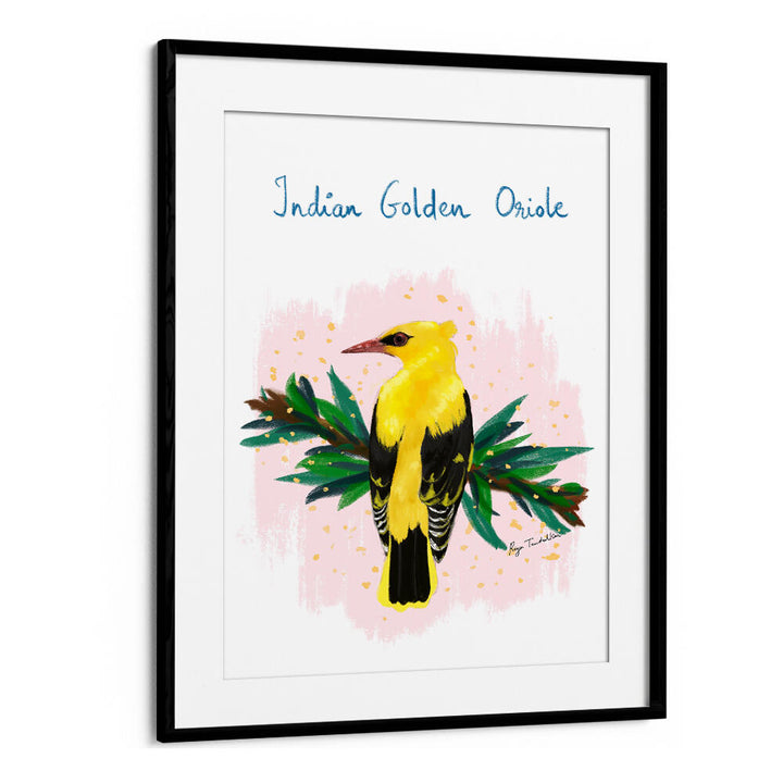 INDIAN GOLDEN ORIOLE
