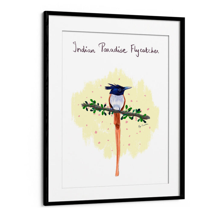 INDIAN PARADISE FLYCATCHER