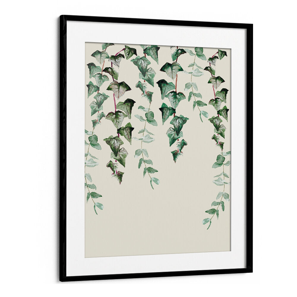 IVY Y EUCALYPTUS
