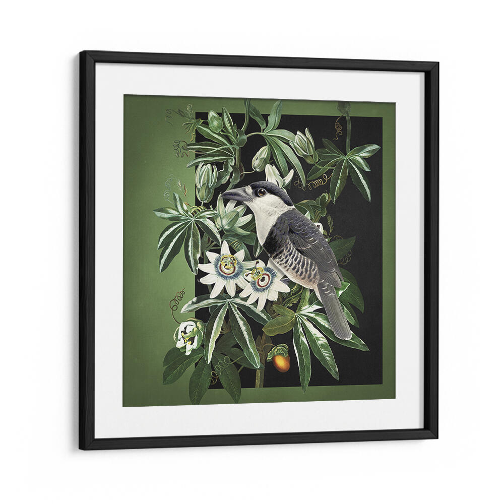 L'OISEAU ET LA PASSIFLORE