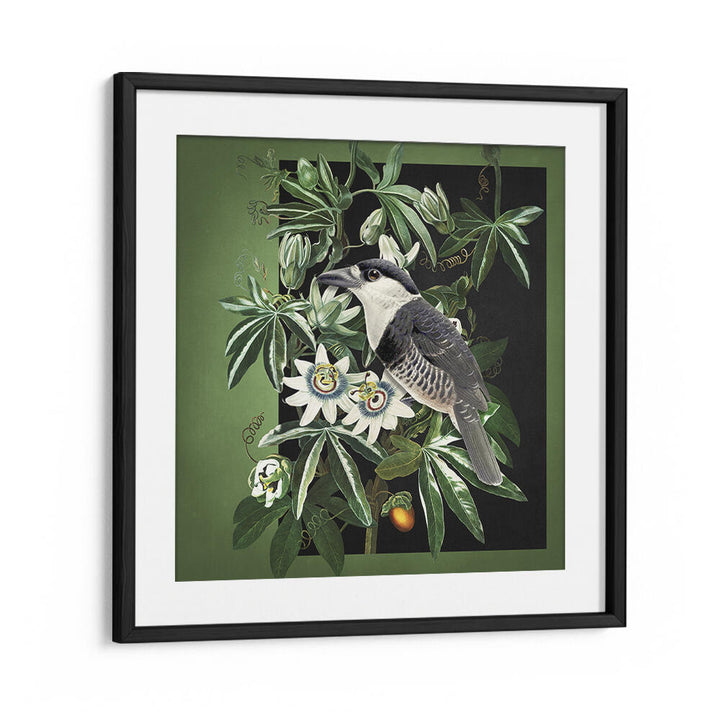 L'OISEAU ET LA PASSIFLORE