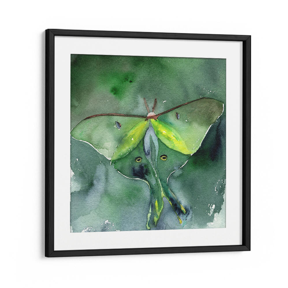 LUNA MOTH , ANIMAL PAINTINGS