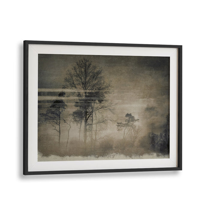 OLD POSTCARD , FLORAL FLOWER PAINTINGS