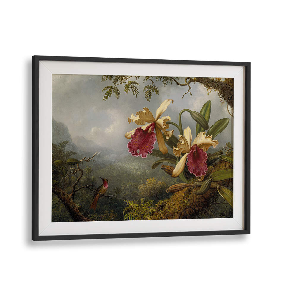ORCHIDS AND HUMMINGBIRD , FLORAL FLOWER PAINTINGS