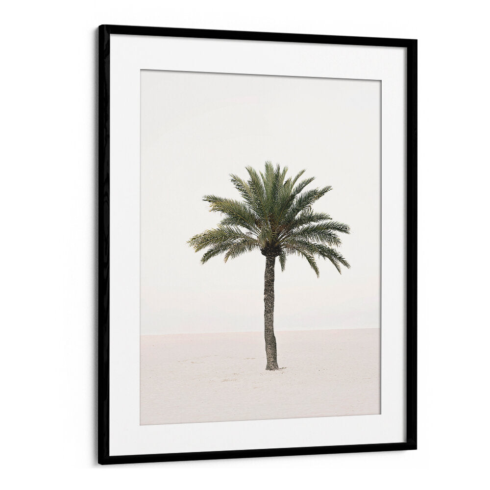 PALM II , BEACH PAINTINGS