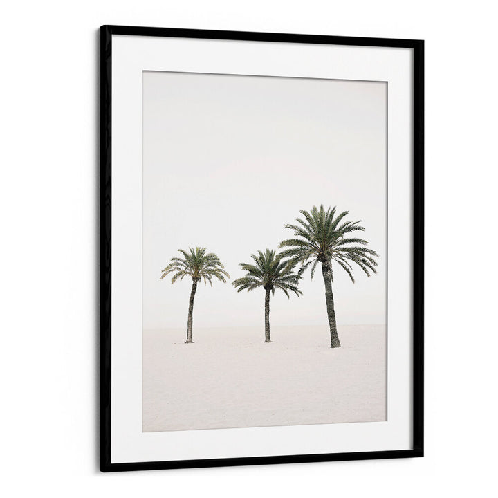 PALMS , BEACH PAINTINGS