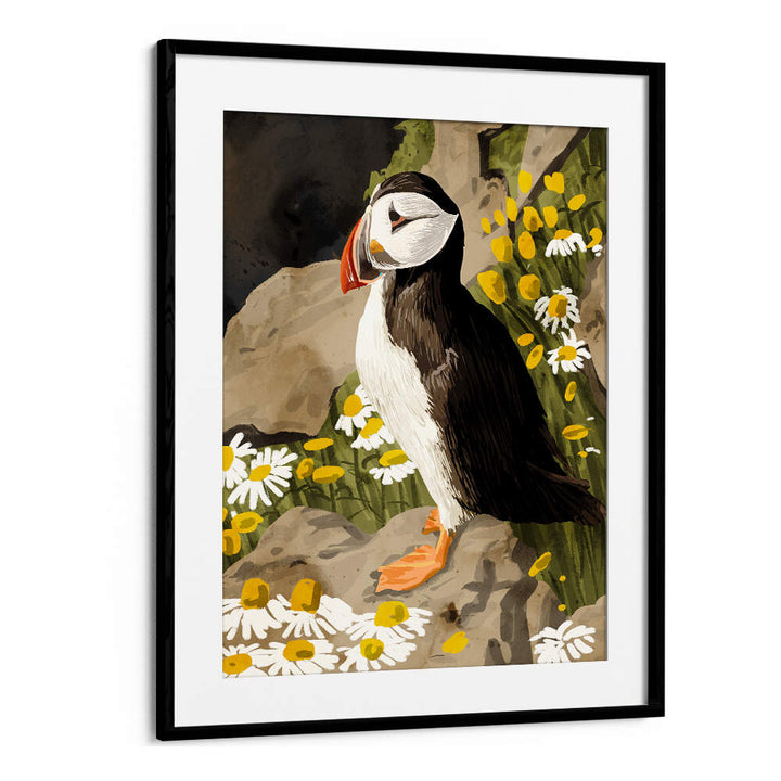 PUFFIN , ANIMAL PAINTINGS