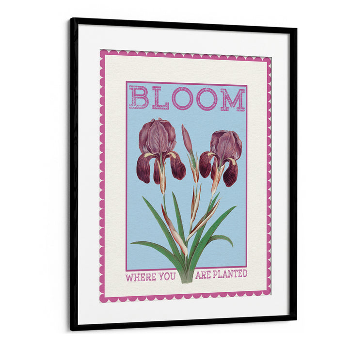 PURPLE IRISES BLOOM QUOTE