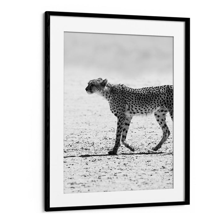 Blackmount SILENT PURSUIT , ANIMAL PAINTINGS black-and-white cheetah wall art in black frame