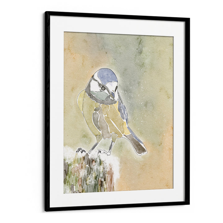 SNOWY BLUE TIT