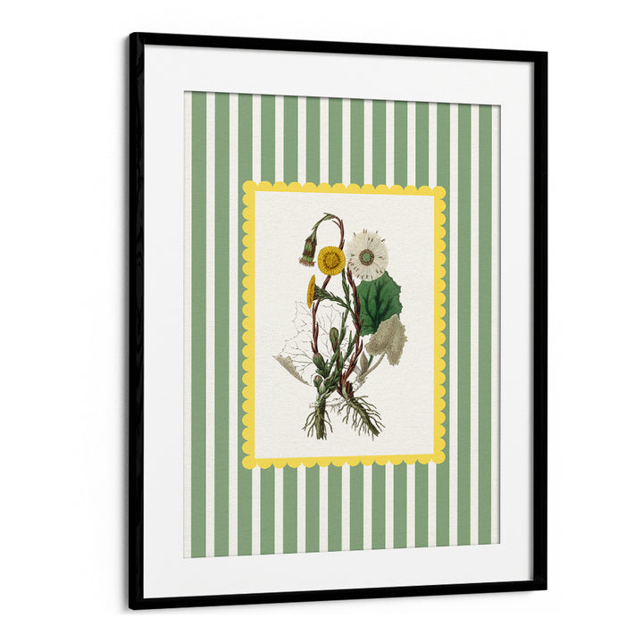 SPRING DANDELION STUDY