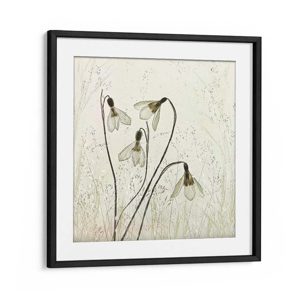 SPRINGTIME II , FLORAL FLOWER PAINTINGS