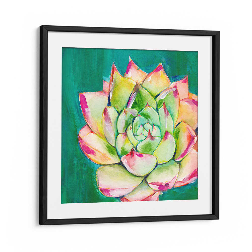 SUCCULENT I LARGE , FLORAL FLOWER PAINTINGS