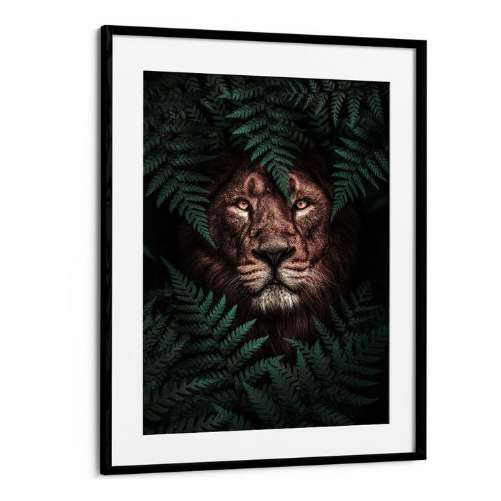 THE LION KING , ANIMAL PAINTINGS