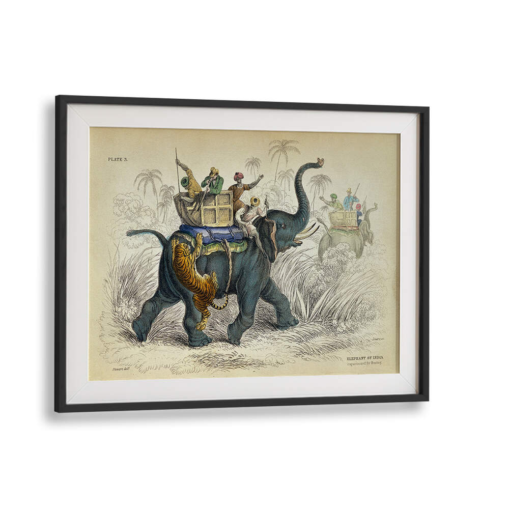 HISTORY OF THE PACHYDERMES