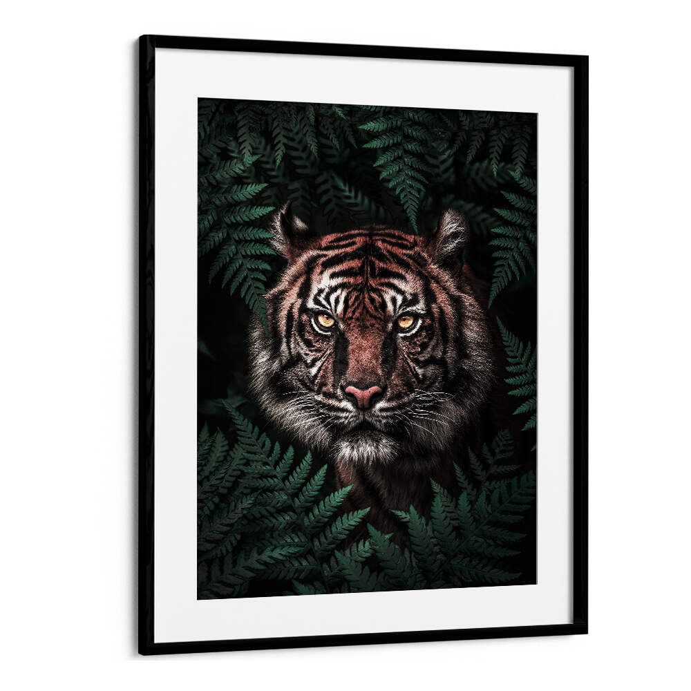 TIGER , ANIMAL PAINTINGS