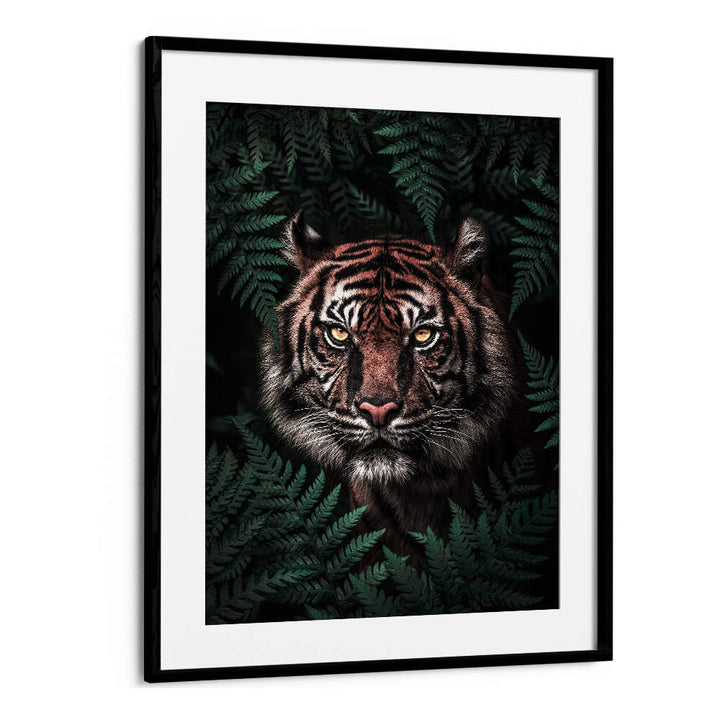 TIGER , ANIMAL PAINTINGS