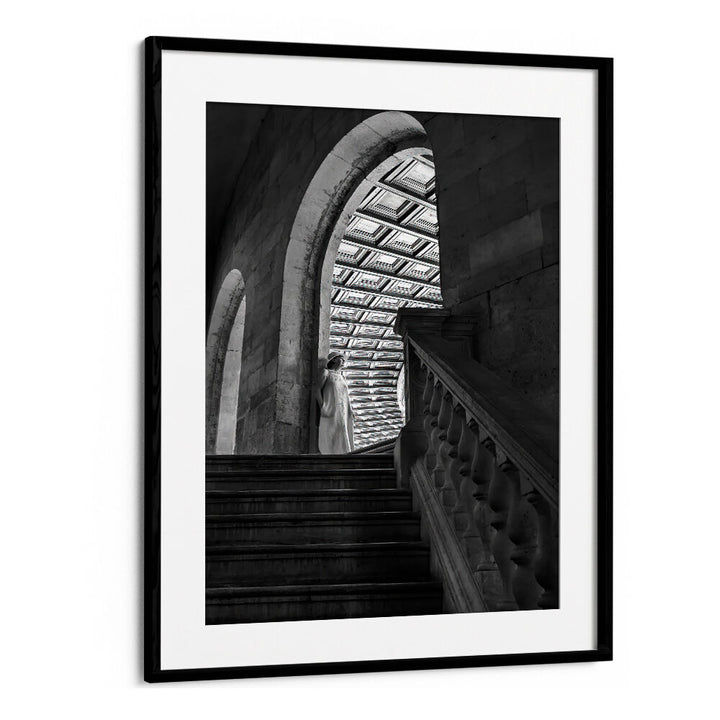 TIMELESS ARCHES