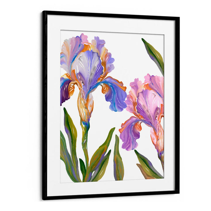 WATERCOLOR IRIS , FLORAL FLOWER PAINTINGS