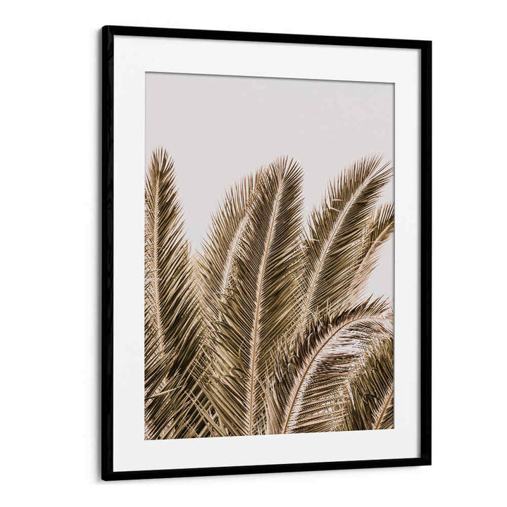 WINDSWEPT PALMS , BEACH PAINTINGS framed palm leaves art print by BlackMount, neutral sepia tones