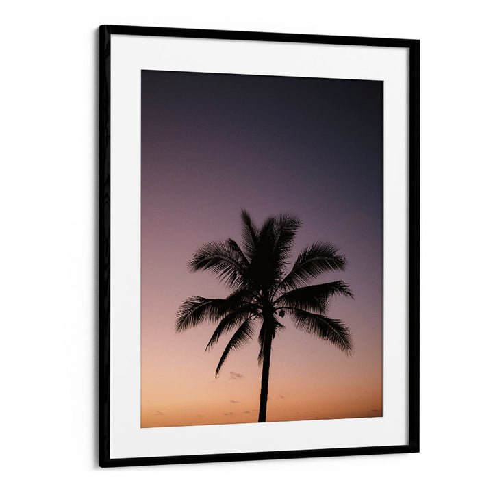 COSTA RICA PALM TREE BY RAISA ZWART , LANDSCAPE PHOTO PRINTS