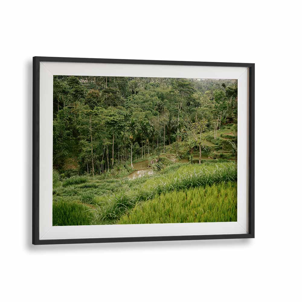 TETEBATU LOMBOK , LANDSCAPE PHOTO PRINTS , LANDSCAPE PHOTOGRAPHY