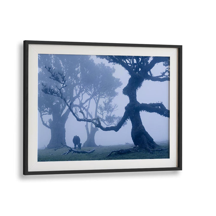 BLUE ENT , LANDSCAPE PHOTO PRINTS , LANDSCAPE PHOTOGRAPHY