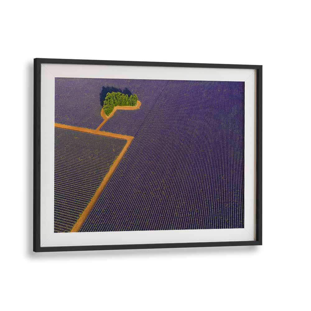 LAVENDER GRAPHIC BY MARC PELISSIER , LANDSCAPE PHOTO PRINTS