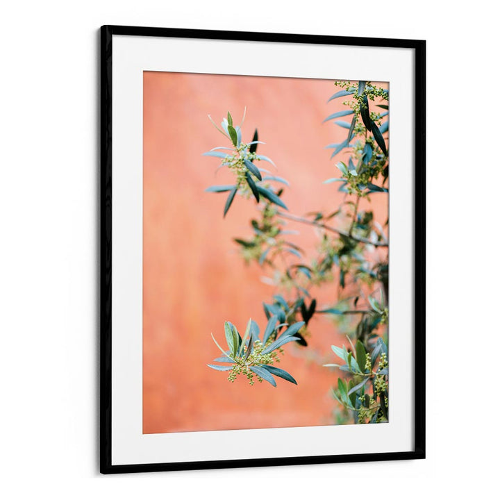 GREEN AND CORAL , PHOTOGRAPHY PRINTS