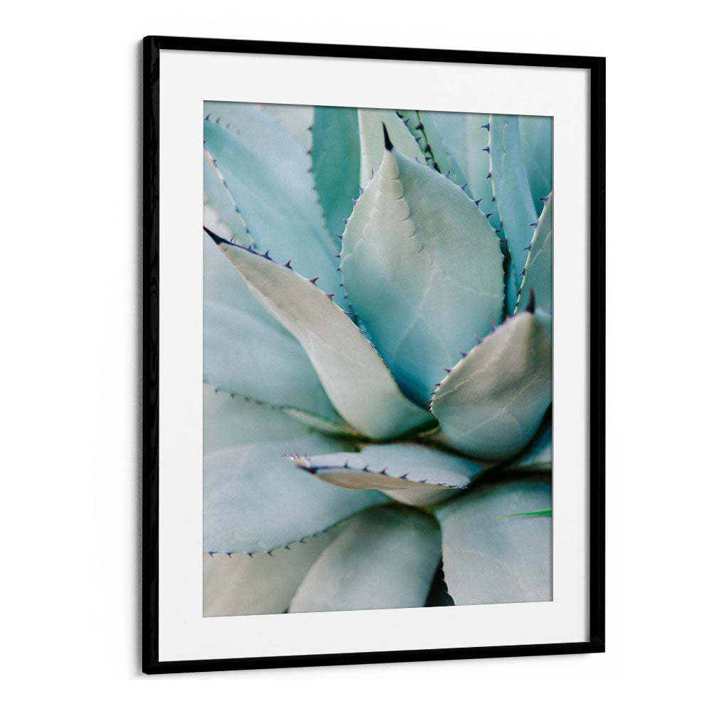 SUCCULENT GREEN BY RAISA ZWART , LANDSCAPE PHOTO PRINTS