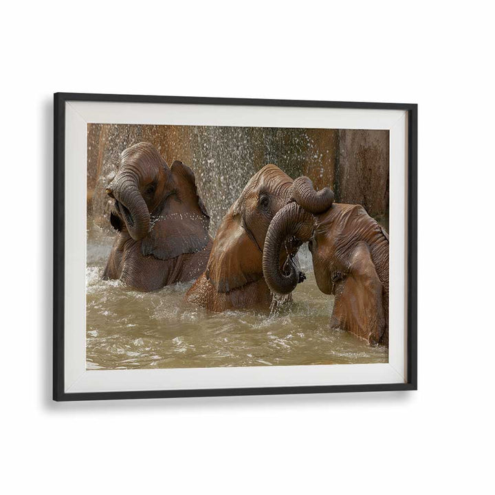 BATH TIME PLAY BY MARC PELISSIER , LANDSCAPE PHOTO PRINTS