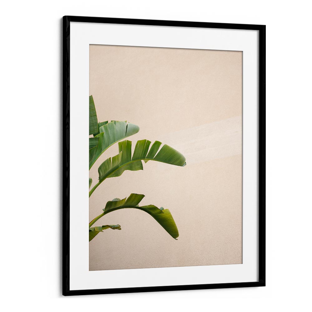 CANNES BANANA PLANT BY RAISA ZWART , LANDSCAPE PHOTO PRINTS