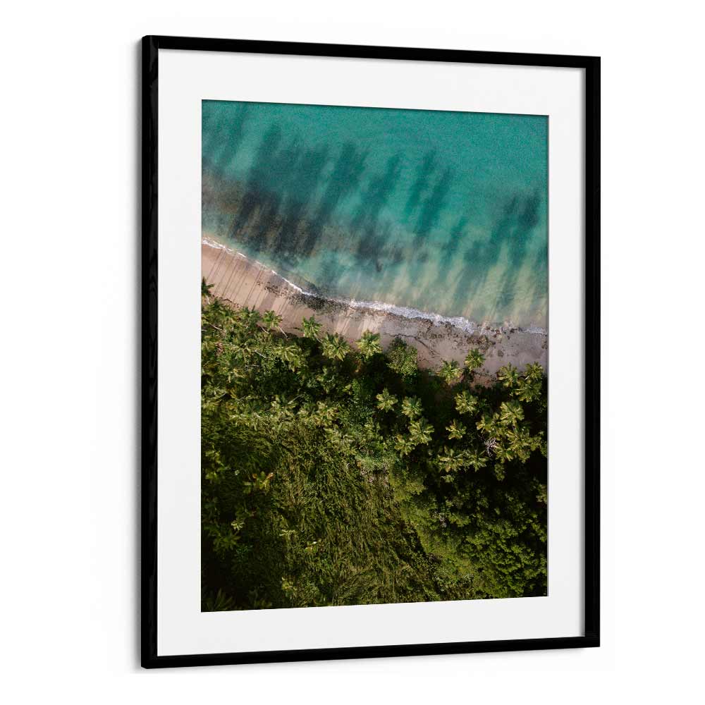 PALM BEACH FROM ABOVE  BY RAISA ZWART , LANDSCAPE PHOTO PRINTS