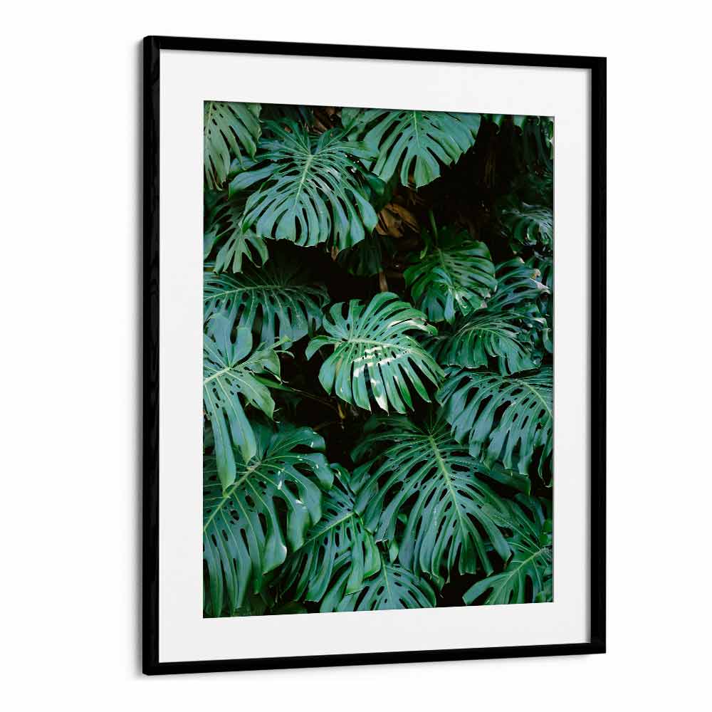 MONSTERA WALL IN LISBON , PHOTOGRAPHY PRINTS