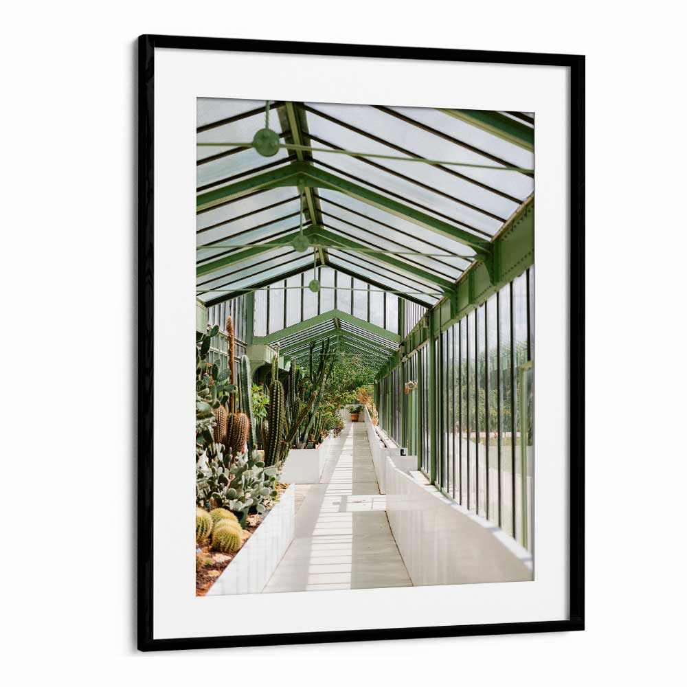 BOTANICAL GARDEN OF PARIS BY RAISA ZWART , LANDSCAPE PHOTO PRINTS