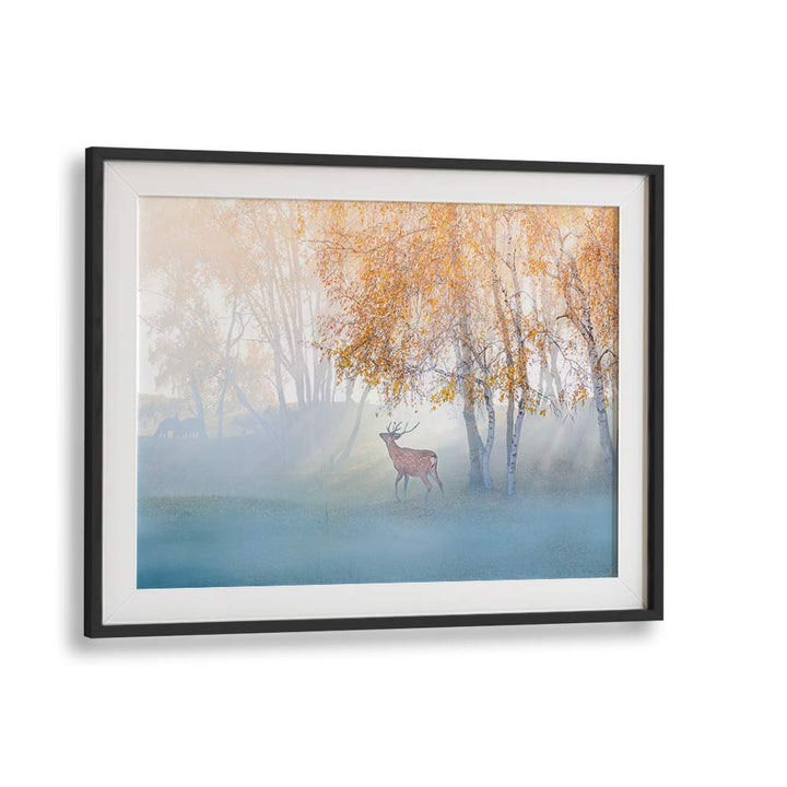 ELK LOST IN MIST BY SIMOON , LANDSCAPE PHOTO PRINTS