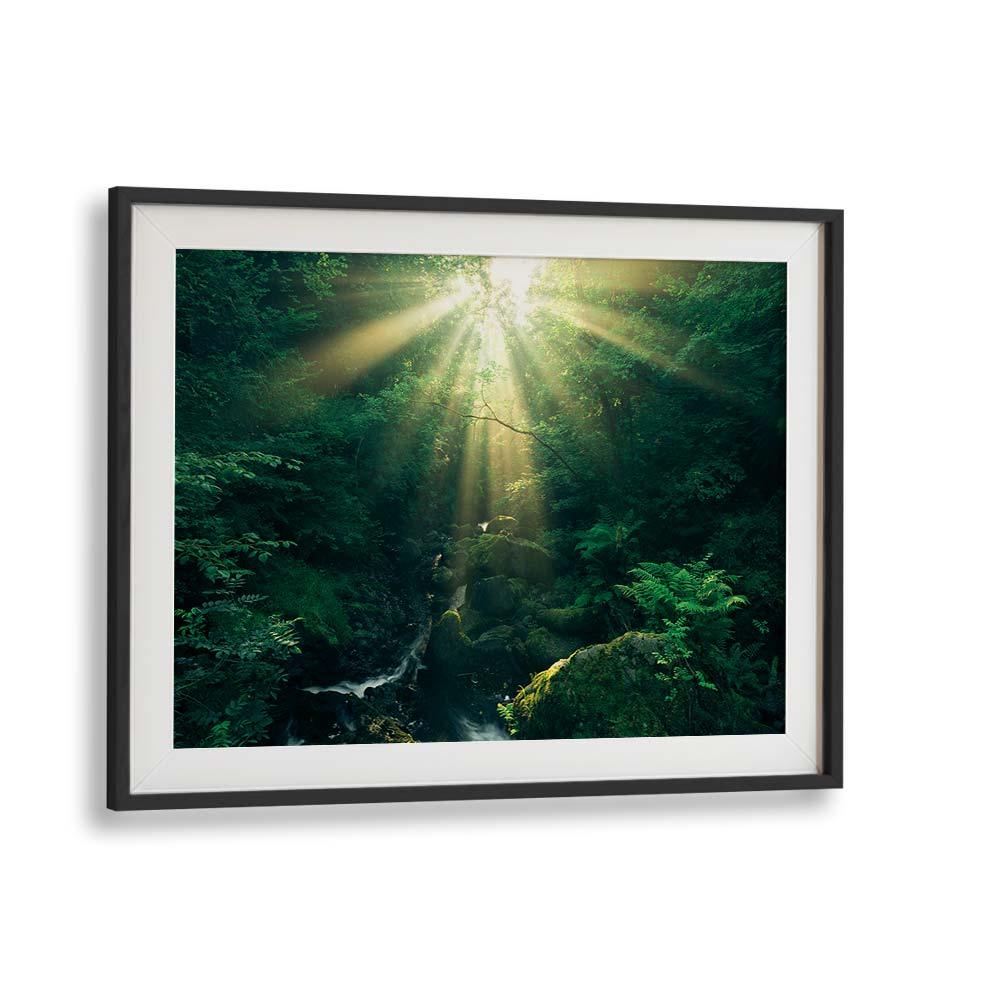 GREEN RAYS BY STEFAN HEFELE , LANDSCAPE PHOTO PRINTS