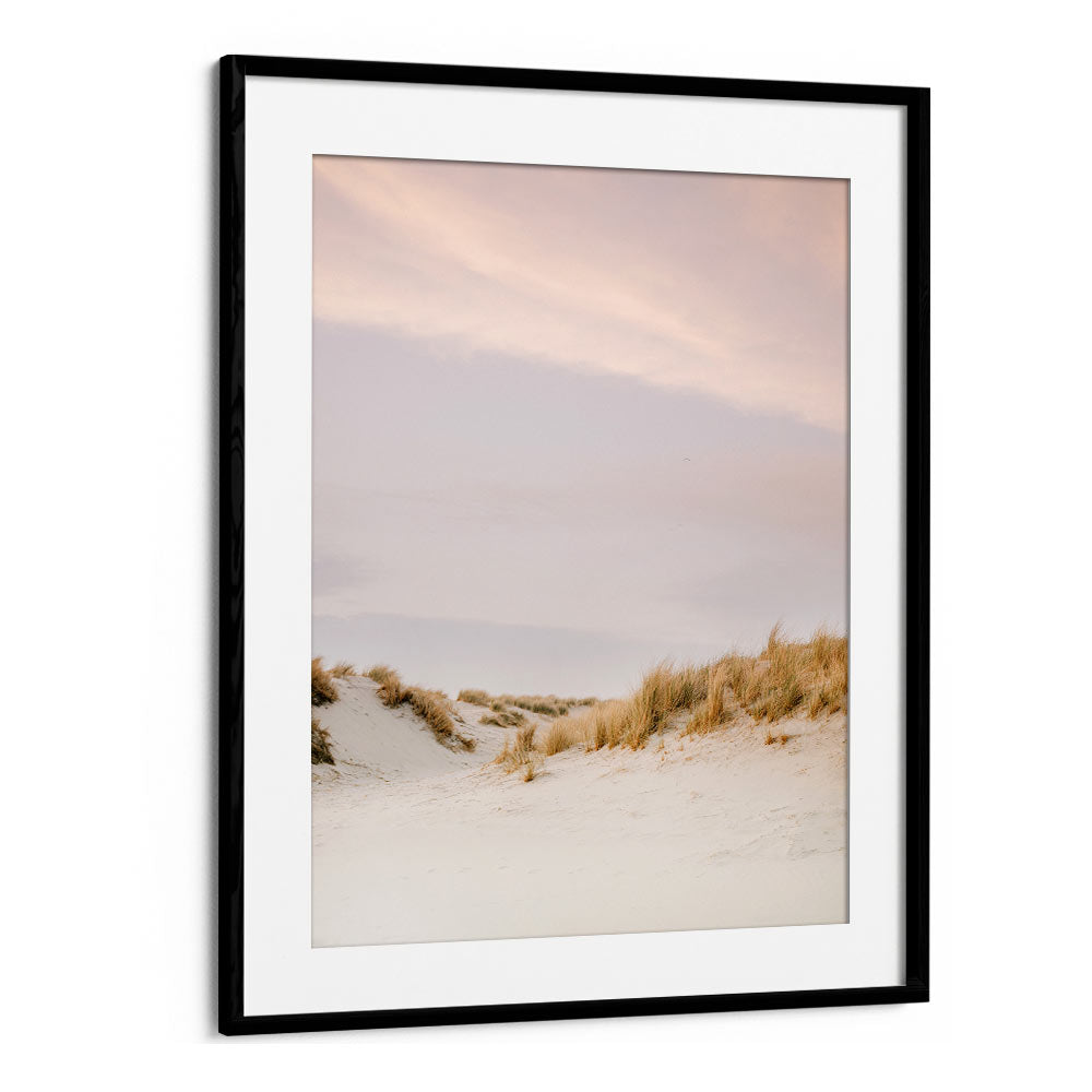 AMELAND DUNES III , PHOTOGRAPHY PRINTS