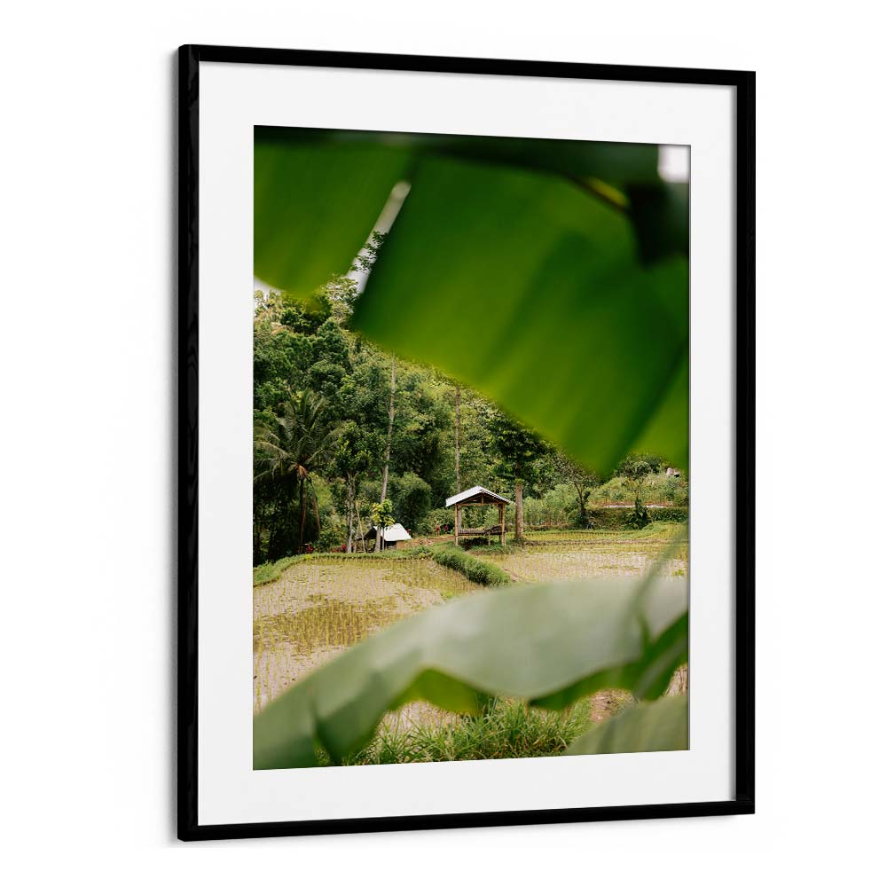 TETEBATU LOMBOK I BY RAISA ZWART , LANDSCAPE PHOTO PRINTS