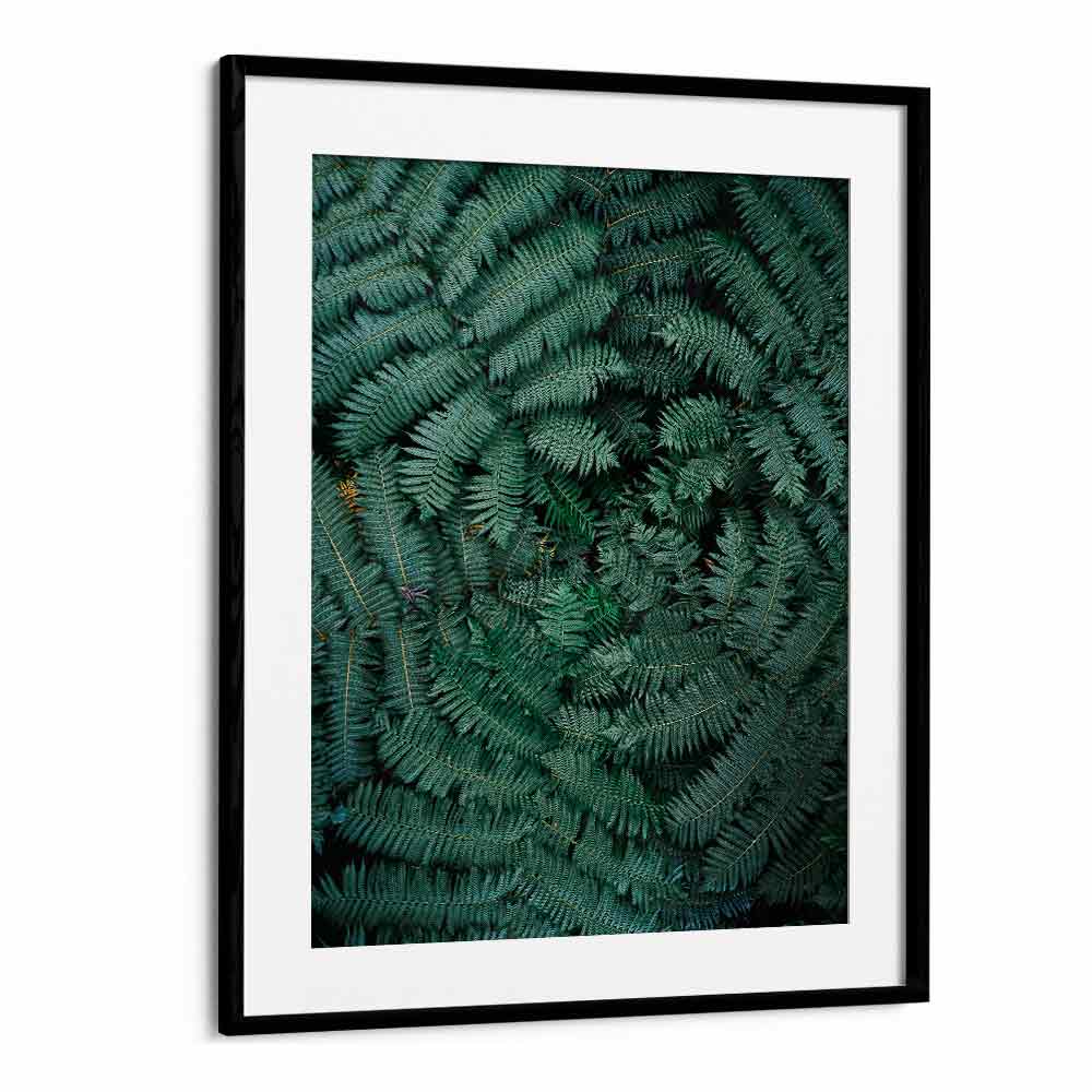 GREEN LEAVES , PHOTOGRAPHY PRINTS