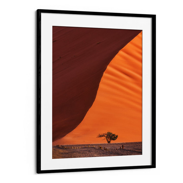 Stunning DUNE 45, PHOTOGRAPHY PRINTS showcasing vibrant landscapes and unique textures of this iconic location.