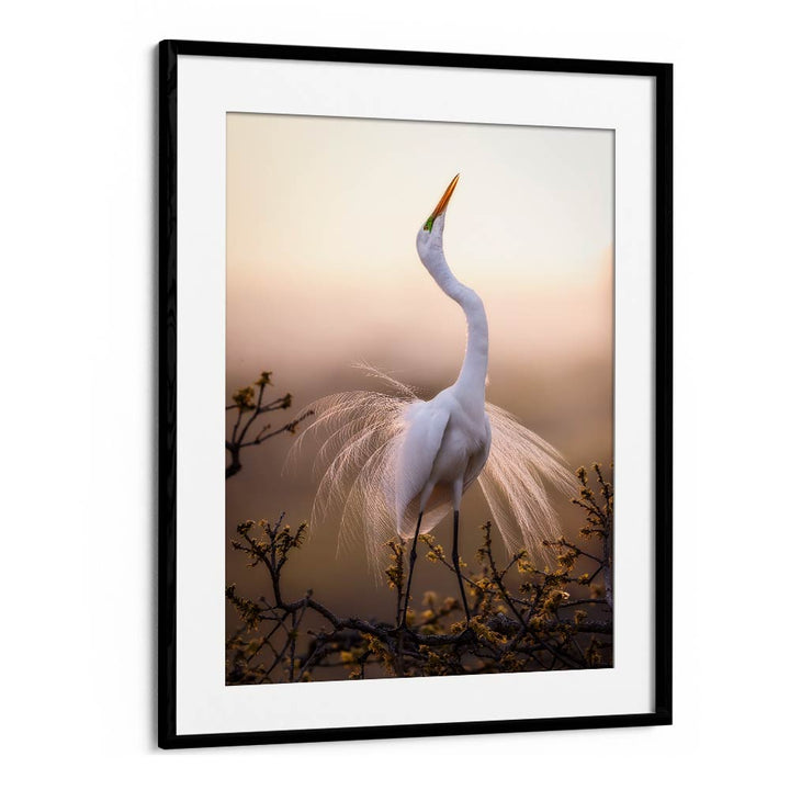 SOLO DANCE , LANDSCAPE PHOTO PRINTS , LANDSCAPE PHOTOGRAPHY