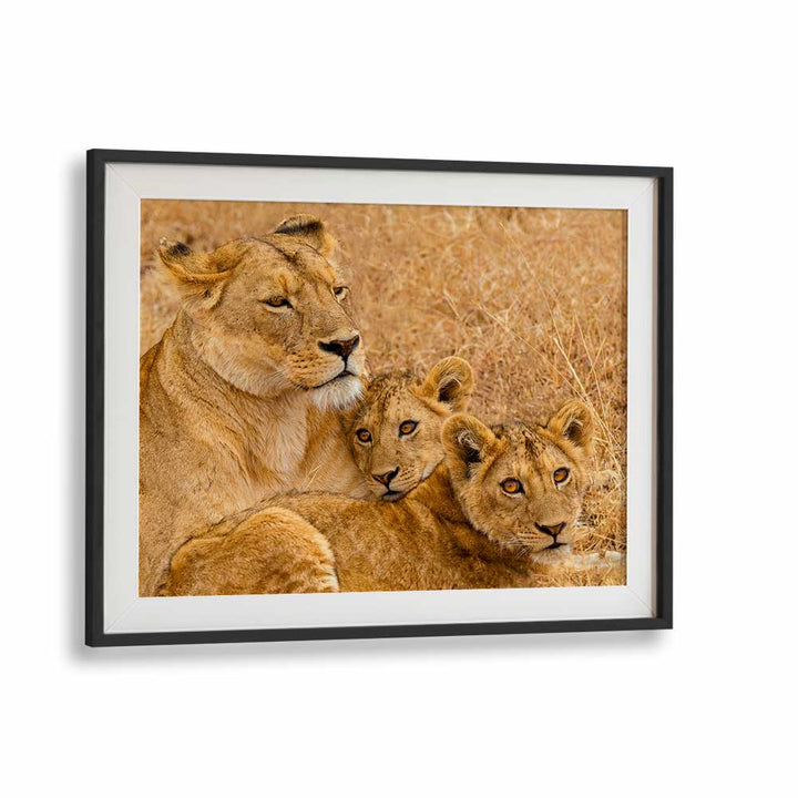 NGORONGORO PROUD MOTHER BY MARC PELISSIER , LANDSCAPE PHOTO PRINTS