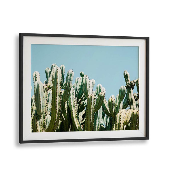 SOUTH OF SPAIN BY RAISA ZWART , LANDSCAPE PHOTO PRINTS